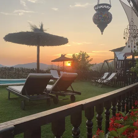 Regalate Paz 2 Arguis